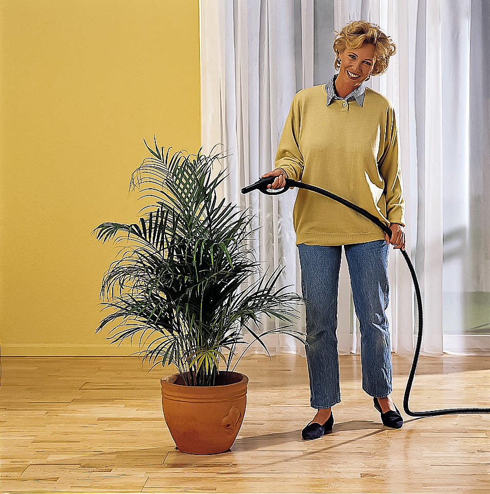 Merlin Royal Dampfreiniger Sets